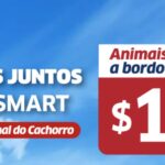 JetSMART está vendendo passagem para seu PET por US$ 1! Más é só até hoje 21/07.