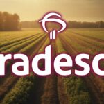 Bradesco Compra 50% do Banco John Deere: A Expansão no Agronegócio em 2024